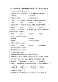 广西防城港市2022-2023学年七年级下学期期末生物试卷（含答案）