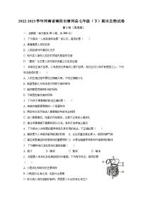 2022-2023学年河南省南阳市唐河县七年级（下）期末生物试卷（含解析）