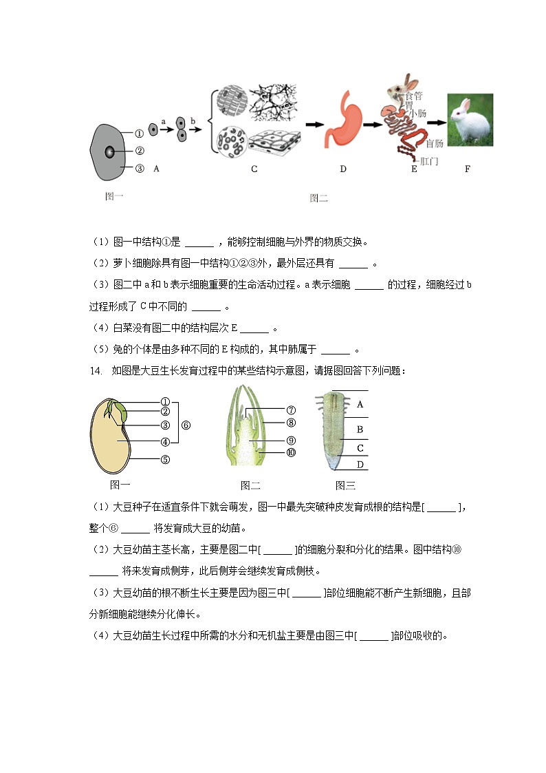 2022-2023学年辽宁省抚顺市东洲区七年级（上）期末生物试卷（含解析）03