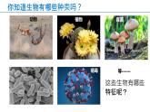 1.1.1生物的特征(課件)