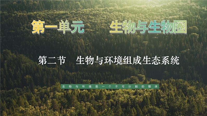 1.2.2 生物与环境组成生态系统-课件01