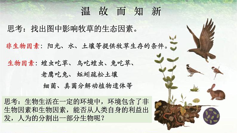 1.2.2 生物与环境组成生态系统-课件02