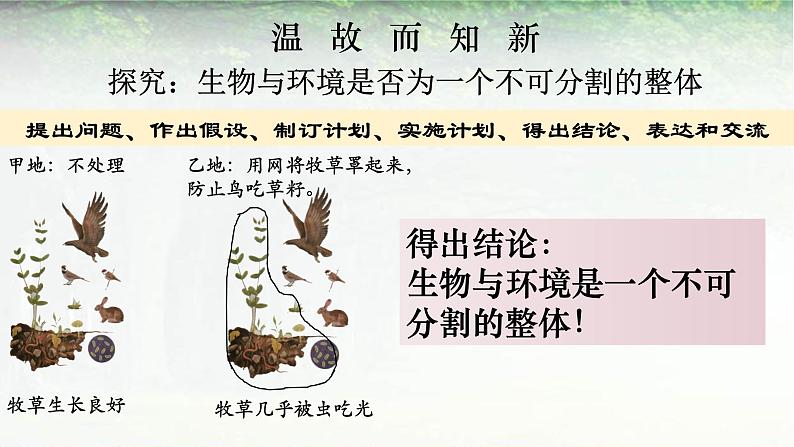 1.2.2 生物与环境组成生态系统-课件03