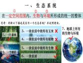 1.2.2 生物与环境组成生态系统-课件