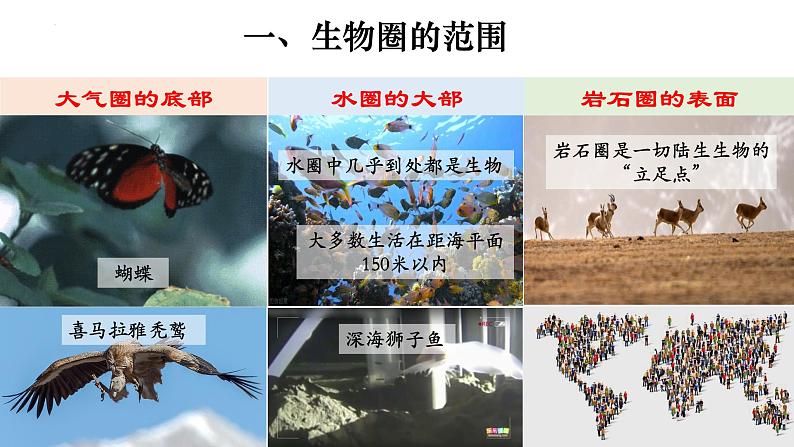 1.2.3 生物圈是最大的生态系统-【新课标】2023-2024学年七年级生物上册精选课件（人教版）04