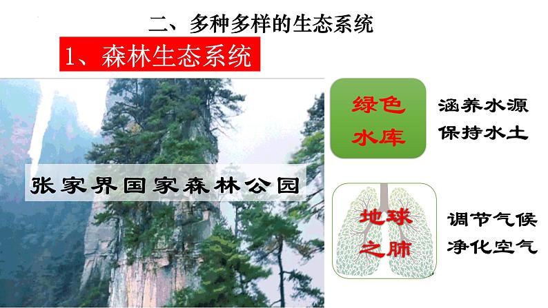 1.2.3 生物圈是最大的生态系统-【新课标】2023-2024学年七年级生物上册精选课件（人教版）08