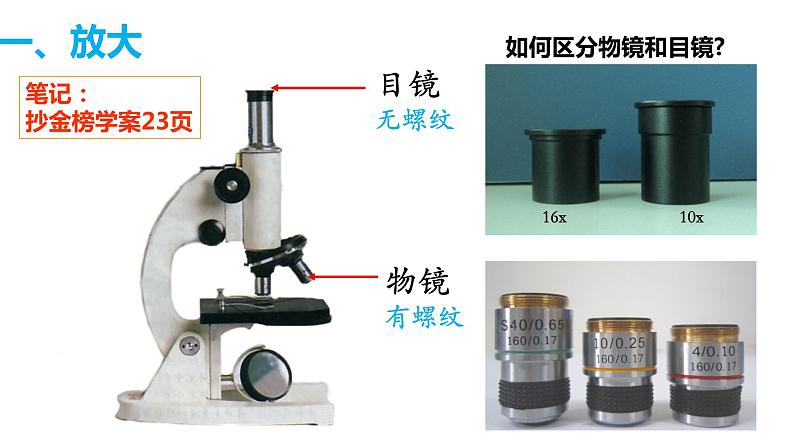 2.1.1练习使用显微镜-课件第3页
