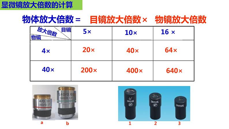 2.1.1练习使用显微镜-课件第4页