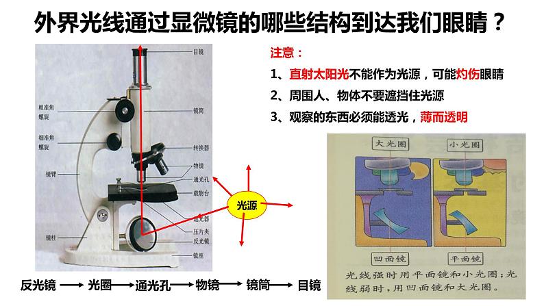 2.1.1练习使用显微镜-课件第6页