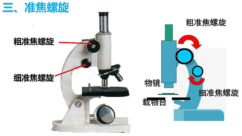 2.1.1练习使用显微镜-课件第7页