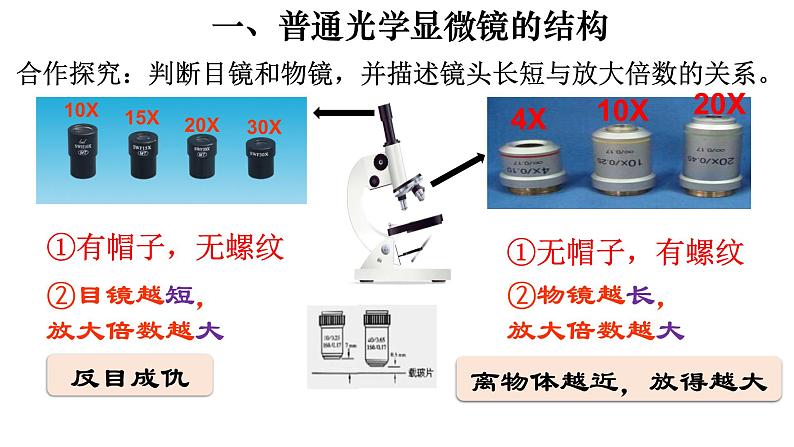 2.1.1 练习使用显微镜-【新课标】2023-2024学年七年级生物上册精选课件（人教版）第3页