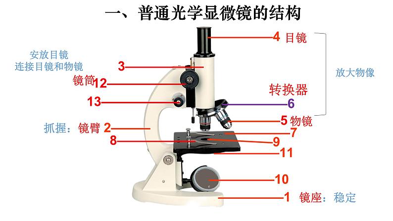 2.1.1 练习使用显微镜-【新课标】2023-2024学年七年级生物上册精选课件（人教版）第5页