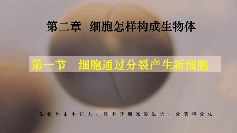 2.2.1 细胞通过分裂产生新细胞-课件01