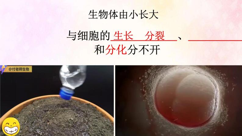 2.2.1 细胞通过分裂产生新细胞-课件02