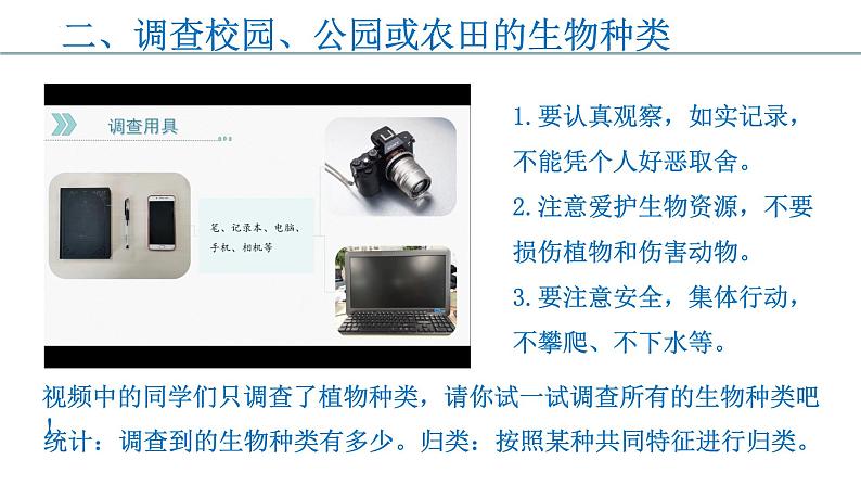 1.1.2 调查周围环境中的生物(课件)第4页