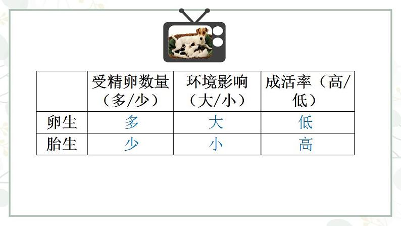 5.1.7哺乳动物-课件05