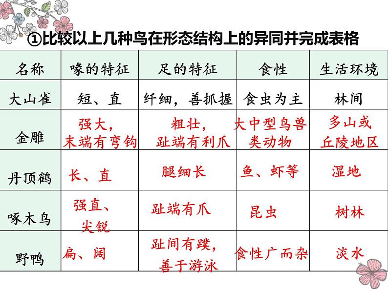 5.1.6鸟-课件05