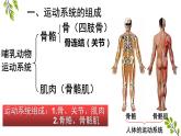 5.2.1动物的运动-课件