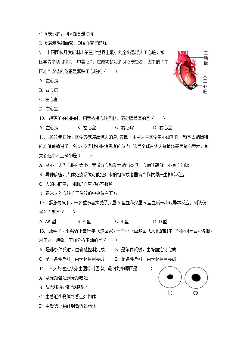 2022-2023学年河南省南阳市淅川县七年级（下）期末生物试卷（含解析）第3页