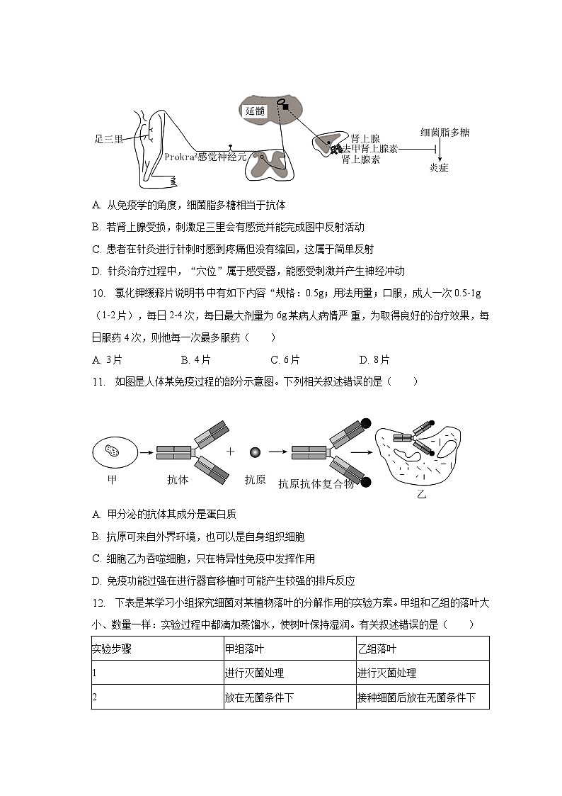2022-2023学年山东省泰安市肥城市七年级（下）期末生物试卷（五四学制）（含解析）03
