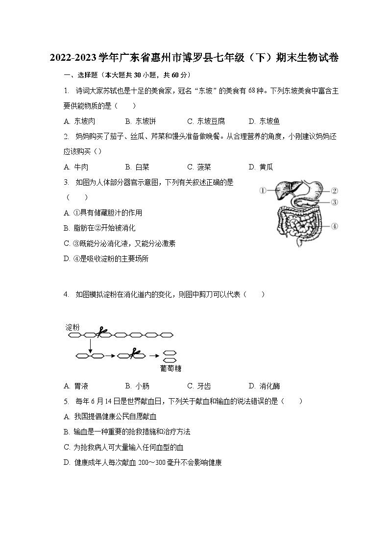2022-2023学年广东省惠州市博罗县七年级（下）期末生物试卷（含解析）01
