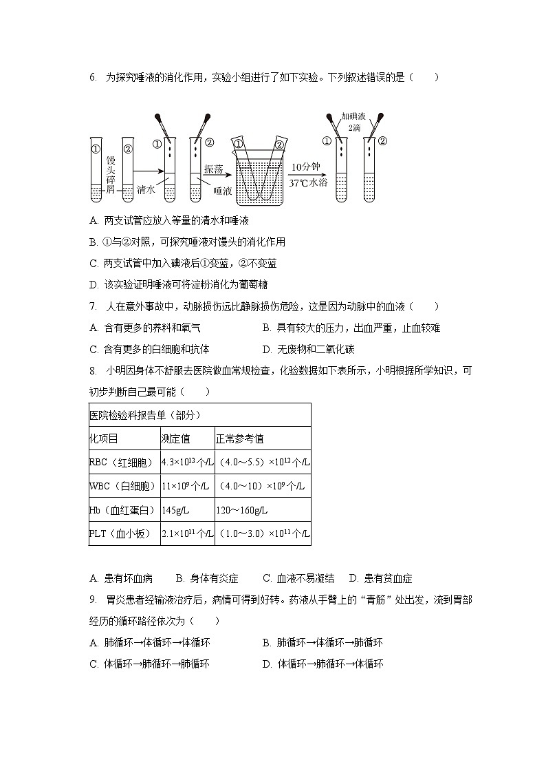 2022-2023学年广东省惠州市博罗县七年级（下）期末生物试卷（含解析）02