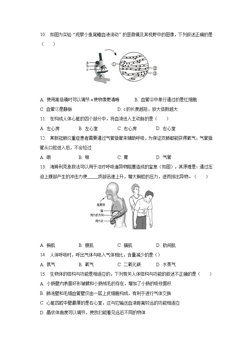 2022-2023学年广东省惠州市博罗县七年级（下）期末生物试卷（含解析）03