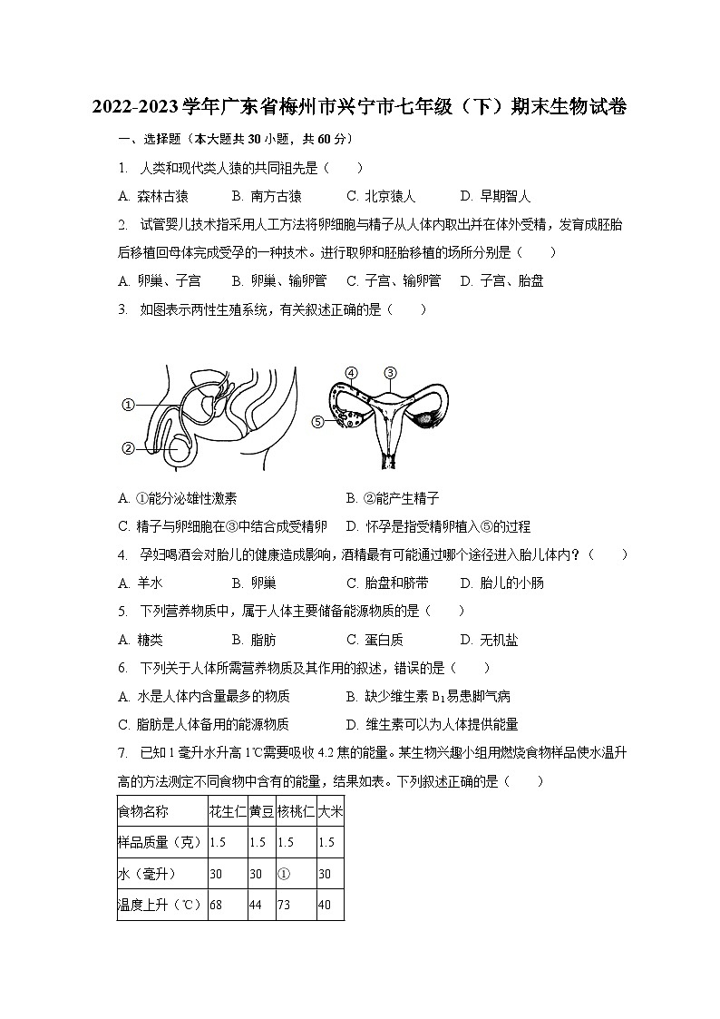 2022-2023学年广东省梅州市兴宁市七年级（下）期末生物试卷（含解析）第1页