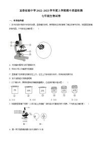 江西省宜春市宜春实验中学2022-2023学年七年级上学期期中生物试题