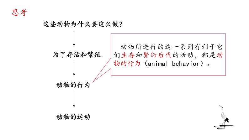 5.2.1动物的运动课件02