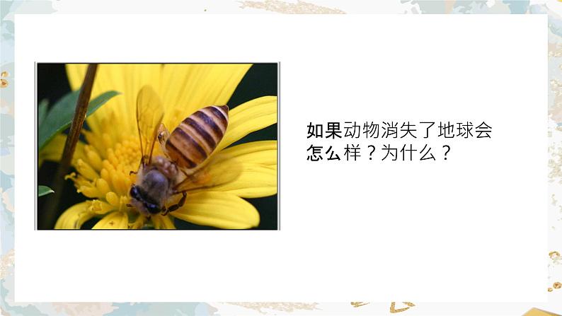 5.3动物在生物圈中的作用课件第6页