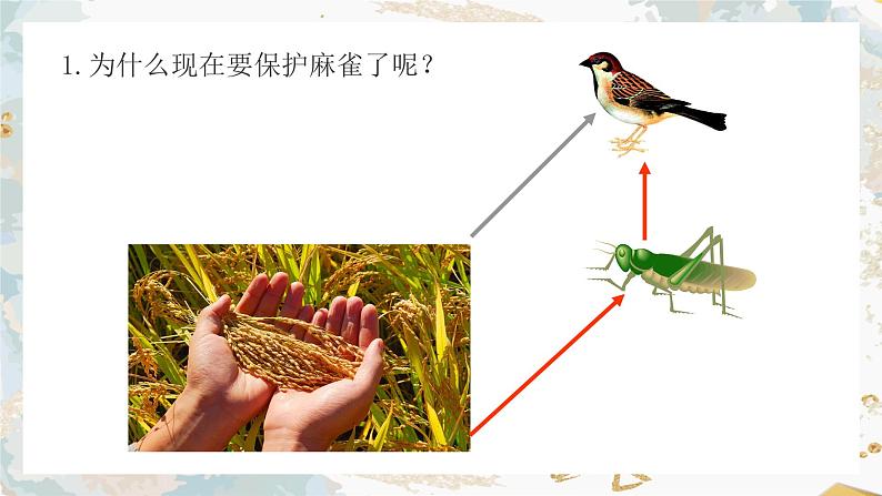 5.3动物在生物圈中的作用课件第8页