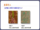 5.4.2细菌课件