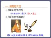 5.4.2细菌课件