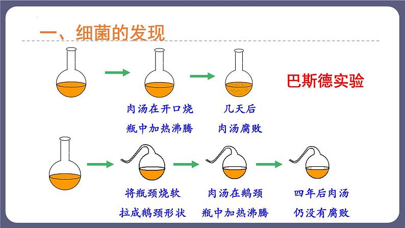 5.4.2细菌课件08