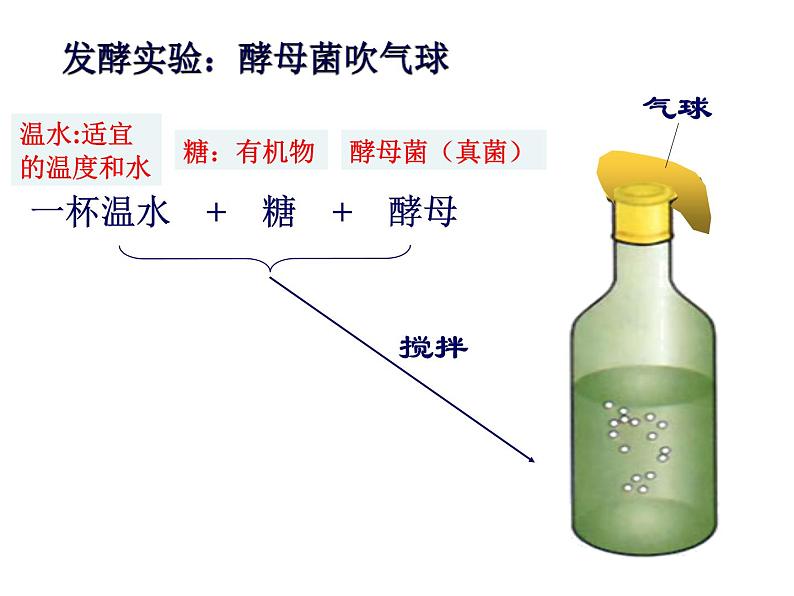 5.4.5人类对细菌和真菌的利用课件03