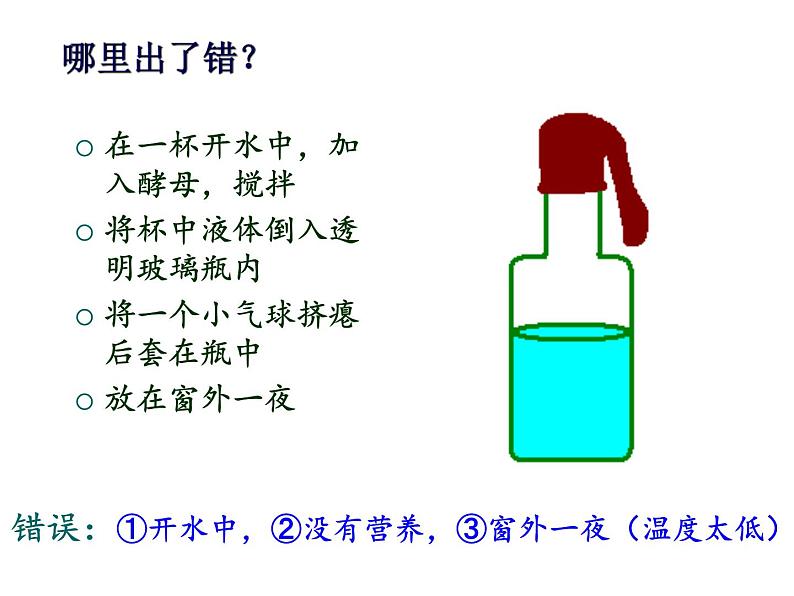 5.4.5人类对细菌和真菌的利用课件06