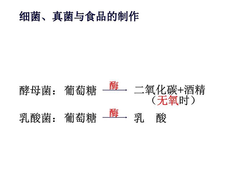 5.4.5人类对细菌和真菌的利用课件07