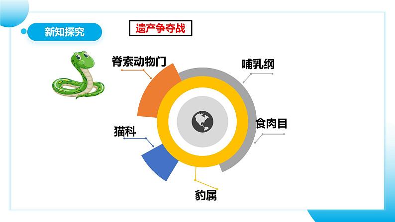 【核心素养目标】人教版初中生物八年级上册6.1.2《从种到界》课件+视频+教学设计+同步分层练习（含答案）07