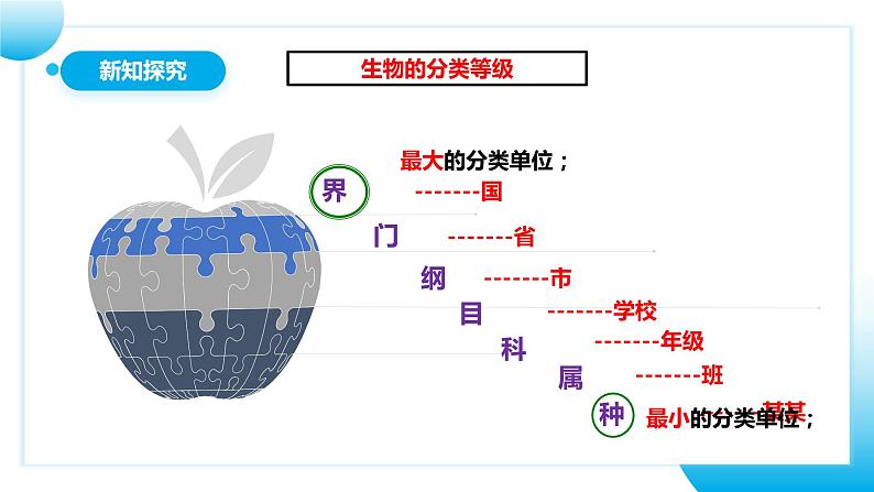 【核心素养目标】人教版初中生物八年级上册6.1.2《从种到界》课件+视频+教学设计+同步分层练习（含答案）08