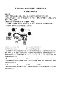 安徽省六安市霍邱县2022-2023学年七年级下学期期末生物试题（含答案）