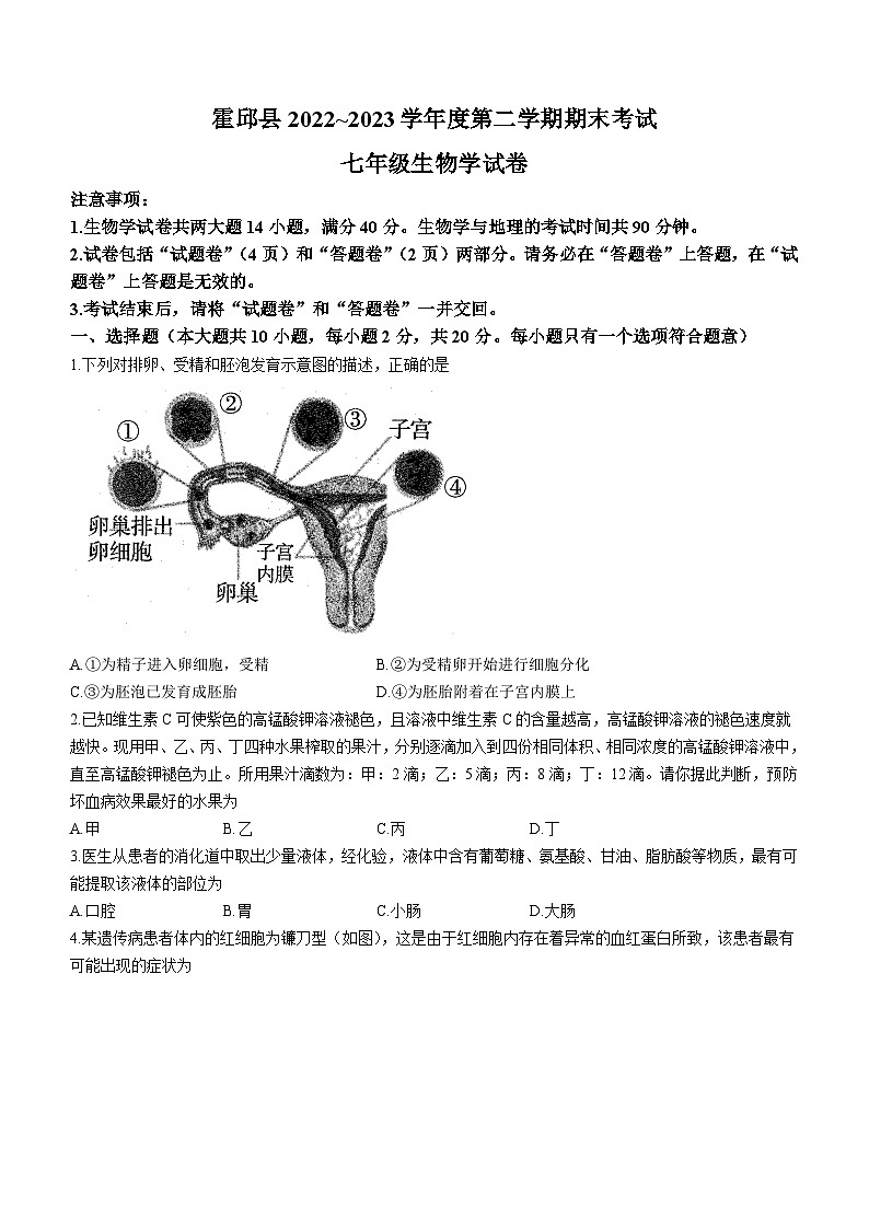 安徽省六安市霍邱县2022-2023学年七年级下学期期末生物试题（含答案）01