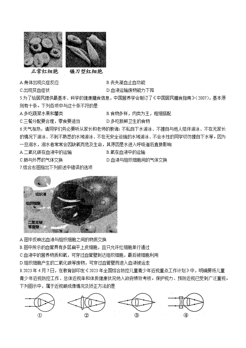 安徽省六安市霍邱县2022-2023学年七年级下学期期末生物试题（含答案）02