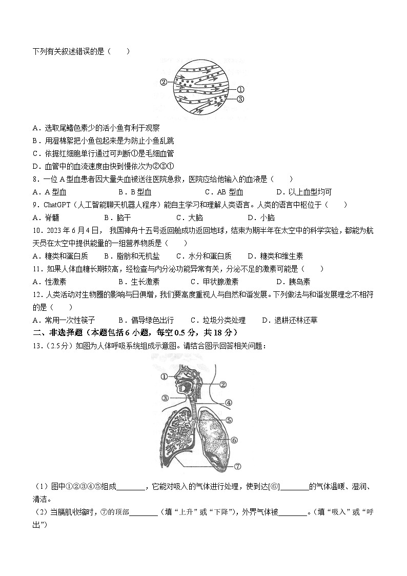 辽宁省大连市金普新区2022-2023学年七年级下学期期末生物试题（含答案）03