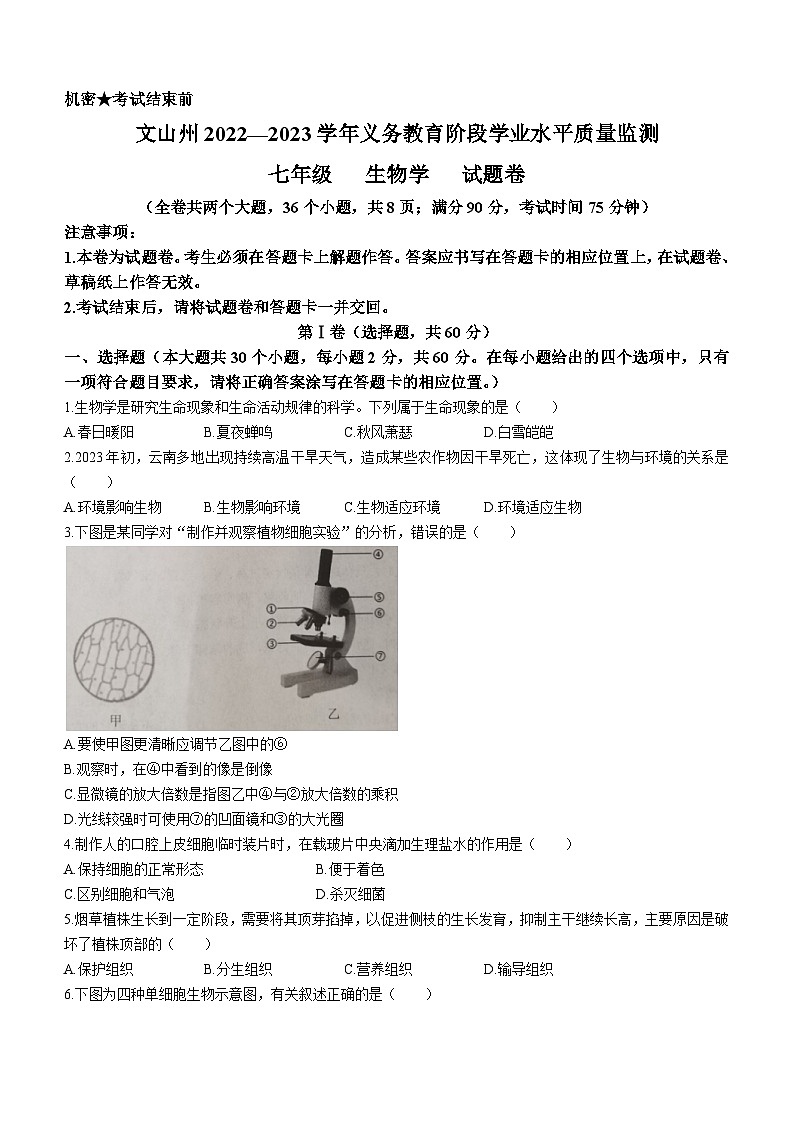 云南省文山州2022-2023年学年七年级下学期期末生物试题（含答案）01