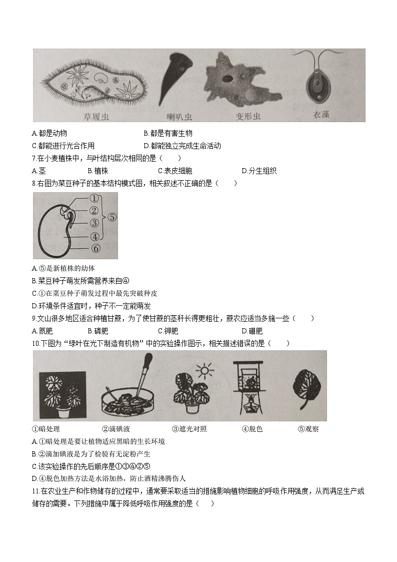 云南省文山州2022-2023年学年七年级下学期期末生物试题（含答案）02
