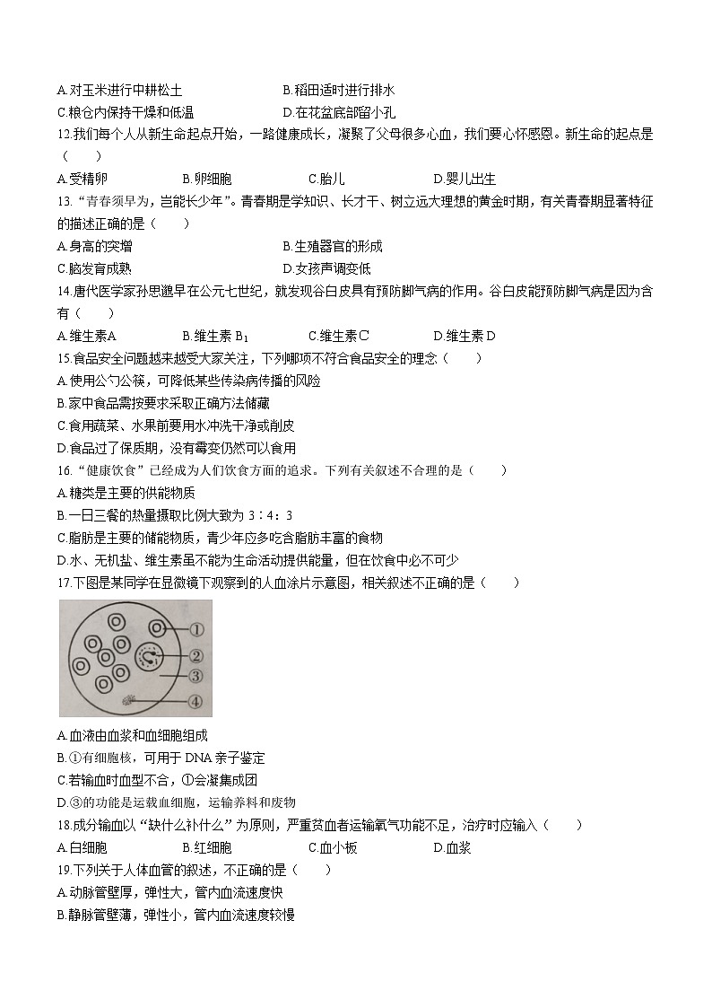 云南省文山州2022-2023年学年七年级下学期期末生物试题（含答案）03