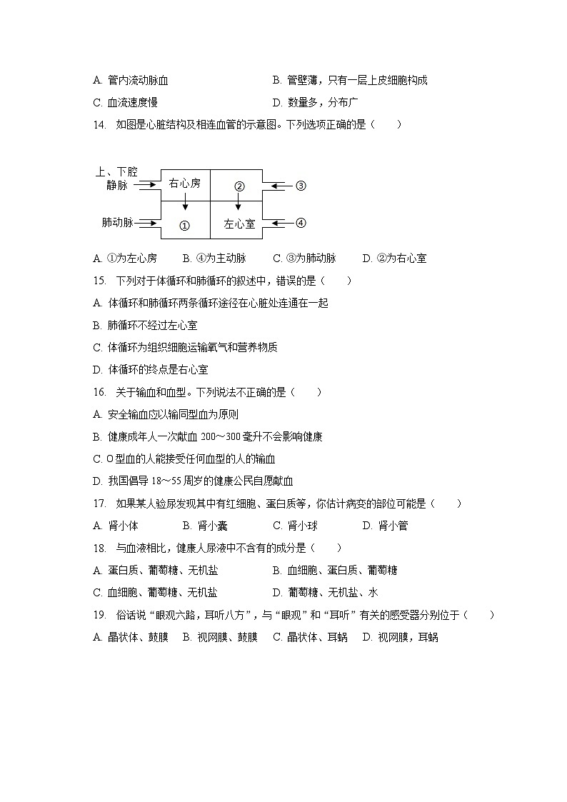湖南省邵阳市北塔区2022-2023学年七年级下学期期末生物试卷（含答案）第3页