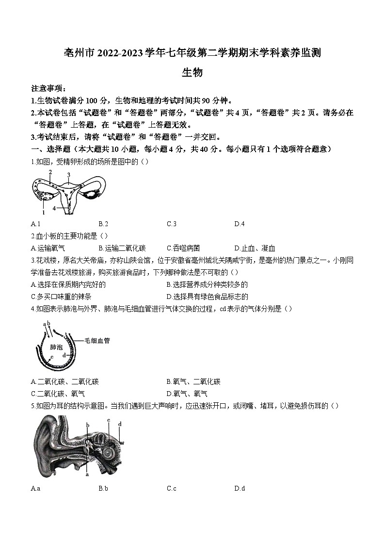 安徽省亳州市2022-2023学年七年级下学期期末生物试题（含答案）第1页