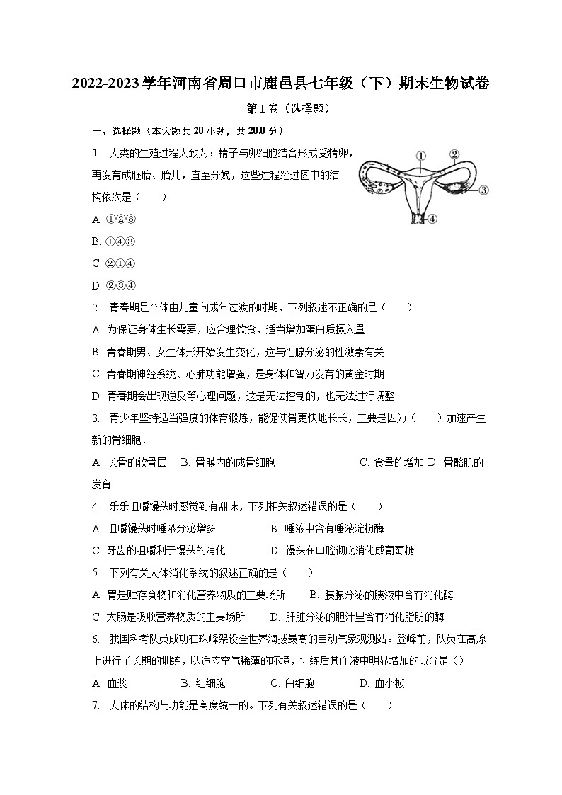 2022-2023学年河南省周口市鹿邑县七年级（下）期末生物试卷（含解析）01